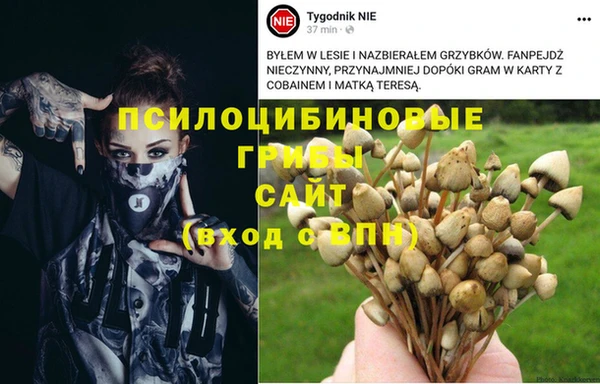 гашик Костерёво