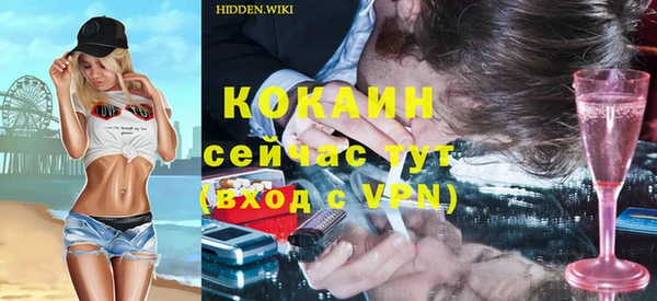 гашик Костерёво
