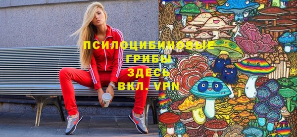 гашик Костерёво