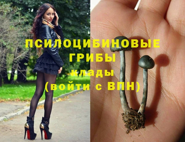гашик Костерёво