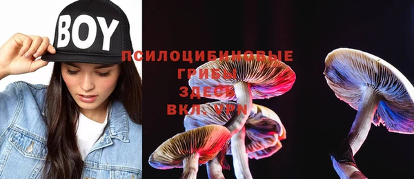 прущая мука Коряжма