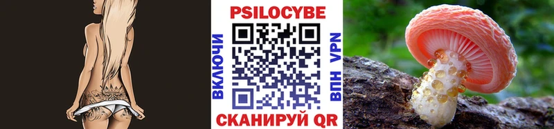 Купить закладки  Билибино  Псилоцибиновые грибы прущие грибы 